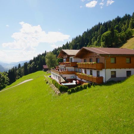 Pension Bergbauernhof Irxner Pichl-Preunegg Exteriér fotografie