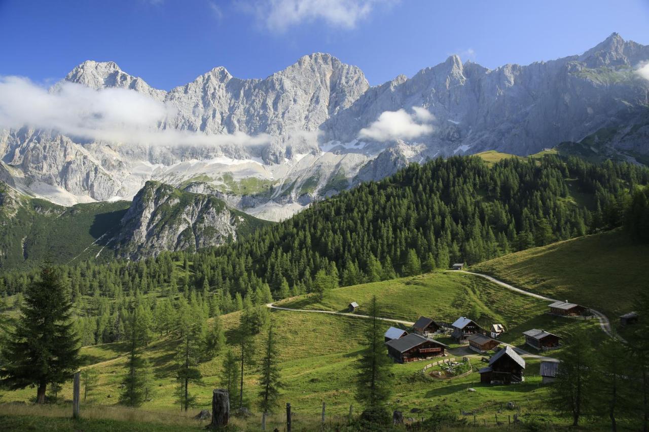 Pension Bergbauernhof Irxner Pichl-Preunegg Exteriér fotografie
